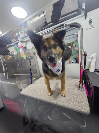 Kontota Mobile Dog Grooming of Cincinnati, OH — photo from their website