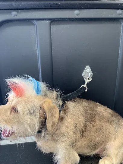 Wash N Waggin Mobile Grooming — photo from their website