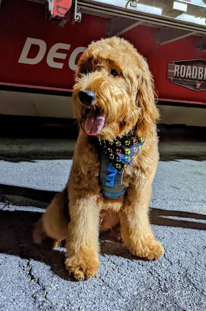 Scrubby Doo Mobile Doggie Spa — photo from their website