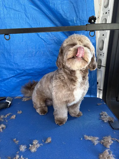 AN Mobile Groom — photo from their website