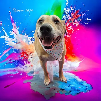 Feather Paw Mobile Spa — photo from their website