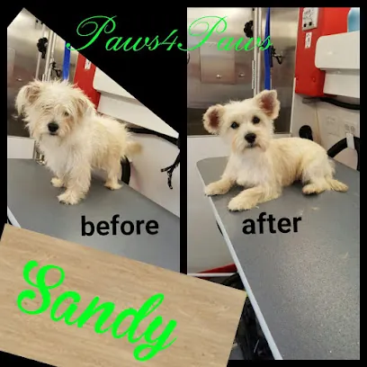 Paws 4 Paws Mobile Grooming - Pet Salon, Mobile Pet Grooming Service, Groomer in Frostproof, FL — photo from their website