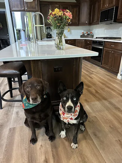Golden Paws Mobile Pet Pedicures — photo from their website