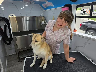 Honey Paws Mobile Pet Grooming — photo from their website