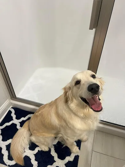 Bri’s Mobile In Home Dog Services — photo from their website