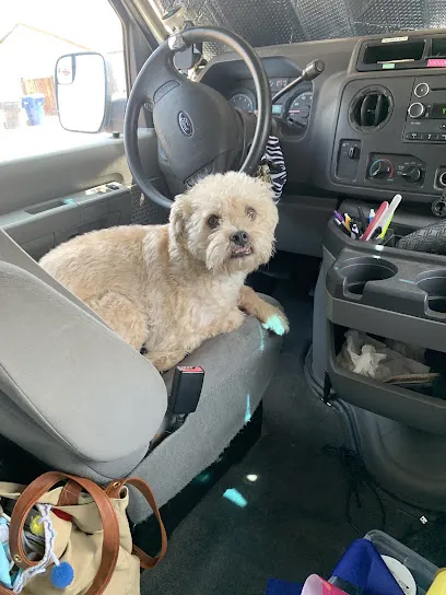 Gentle Hands Mobile Pet Grooming, LLC — photo from their website
