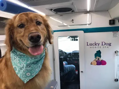 Awesome Dog Mobile Spa — photo from their website