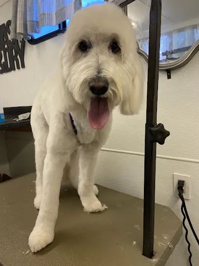 Paw Reflections Mobile Grooming — photo from their website