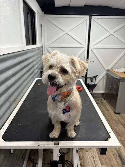 Taty’s Wagging Wagon - Mobile Dog Groomer — photo from their website