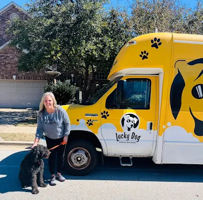 Lucky Dog Mobile Groomers - Austin, TX — photo from their website