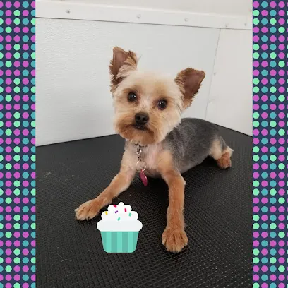 DOGGY MOBILE GROOMING — photo from their website