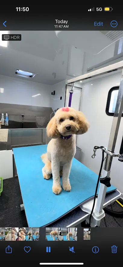 Lyssa’s Mobile Grooming — photo from their website