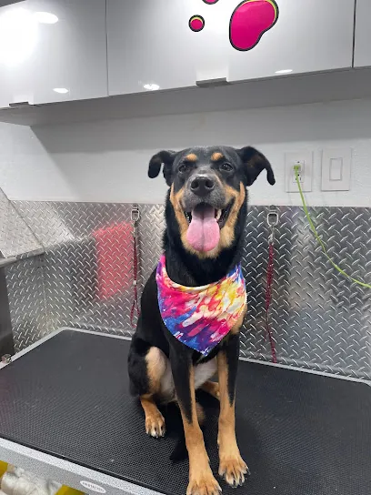 Dogi's Mobile Dog Grooming — photo from their website
