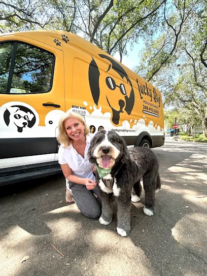 Lucky Dog Mobile Groomers - Dallas, TX — photo from their website
