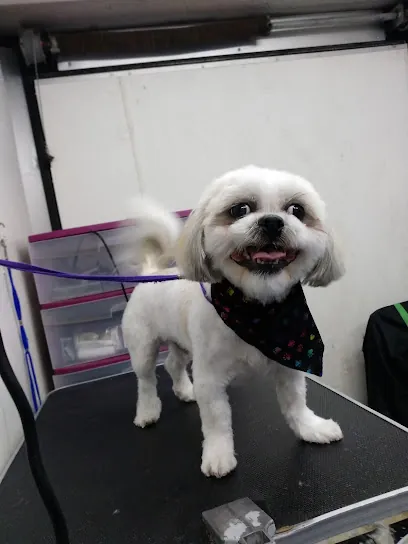 Sparklin' Petz Mobile Grooming Spa — photo from their website