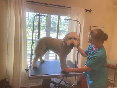 Fluffy puppies dog grooming — photo from their website