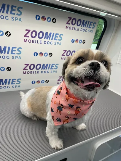 Zoomies Mobile Dog Spa — photo from their website