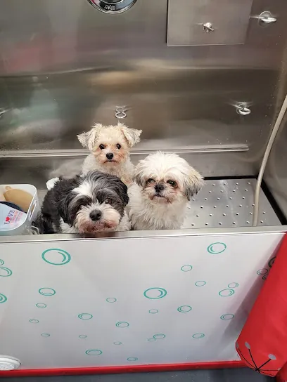 Metro Mobile Groomers — photo from their website
