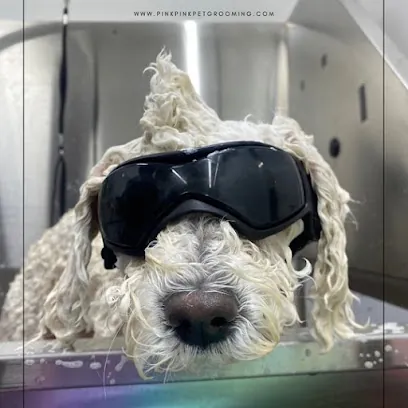 Pink Pink Mobile Pet Grooming — photo from their website