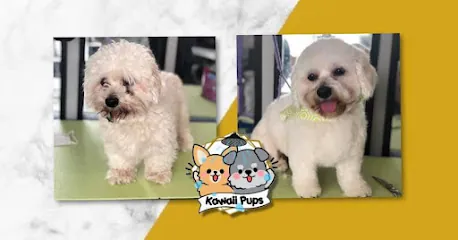 Kawaii Pups Mobile Grooming, LLC — photo from their website