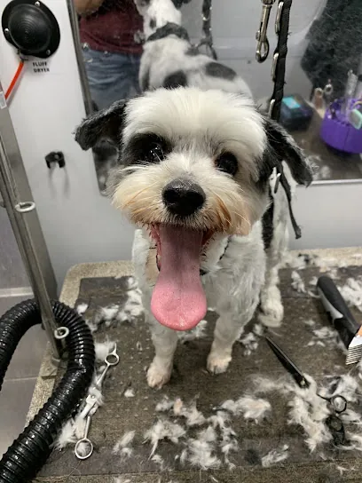 Muddy Mutts Mobile Grooming — photo from their website
