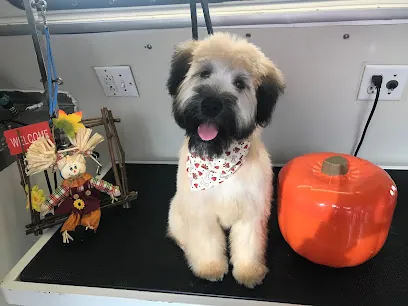 Spot-less Mobile Dog Grooming LLC. — photo from their website