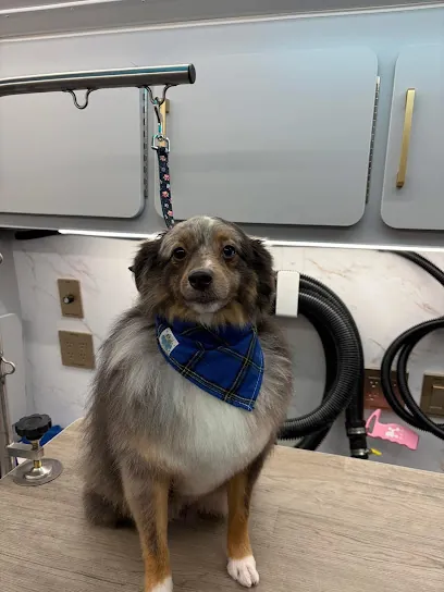 Plush Pets Mobile Grooming Salon — photo from their website
