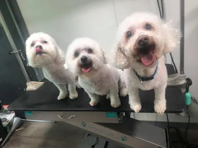 Just Pawfect by Jenee, LLC — photo from their website