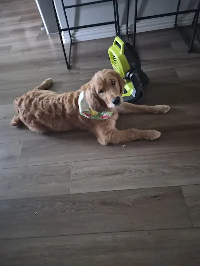 Pooch Perfect Mobile Grooming — photo from their website