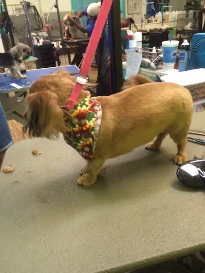 Smylie's Mobile Pet Grooming — photo from their website