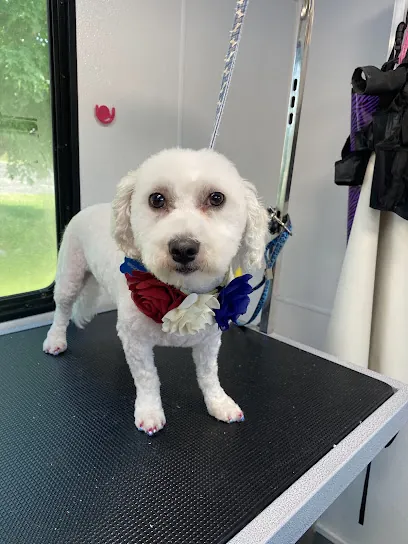 Mutt cut and go mobile pet grooming — photo from their website