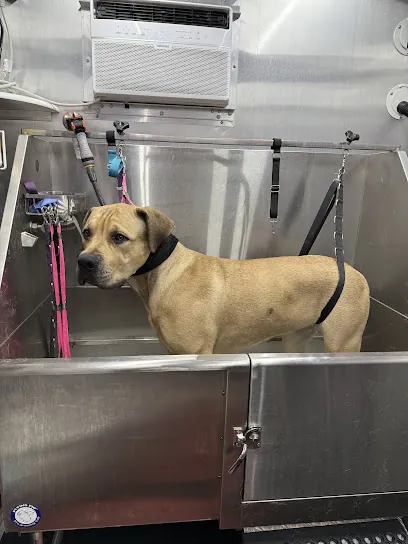 Barking Beauties Mobile Pet Spa — photo from their website