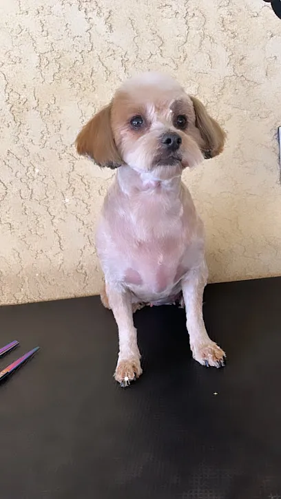 Ashley’s pet grooming — photo from their website