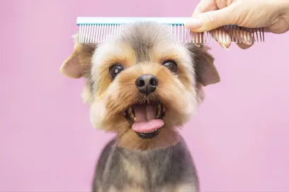 Alpharetta Mobile Grooming — photo from their website
