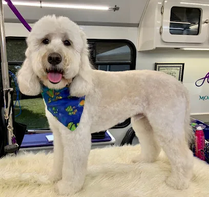 Alexander & Yonis mobile pet salon llc — photo from their website