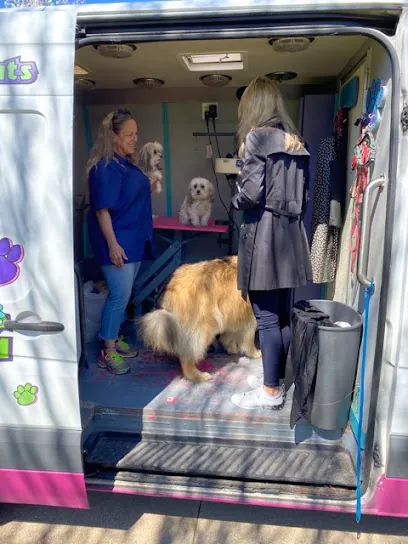 A Gentle Touch Mobile Pet Grooming — photo from their website