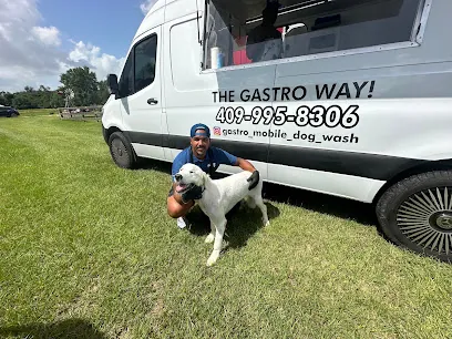 Gastro Mobile Dog Wash — photo from their website