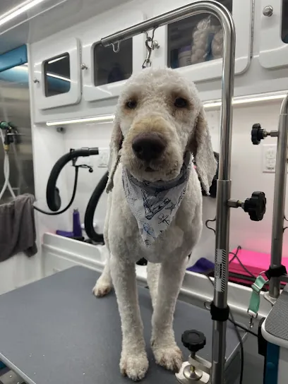 Pup Avenue Mobile Grooming — photo from their website