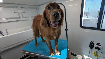 Luxe Canine Mobile Spa-LLC — photo from their website