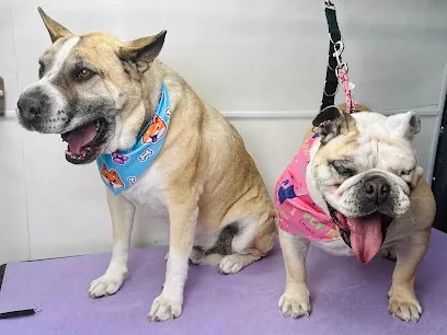 The Velvet Hound Mobile Grooming Studio — photo from their website