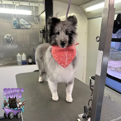 Saints Suds Mobile Grooming LLC — photo from their website