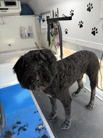 Cactus Canines Mobile Grooming — photo from their website