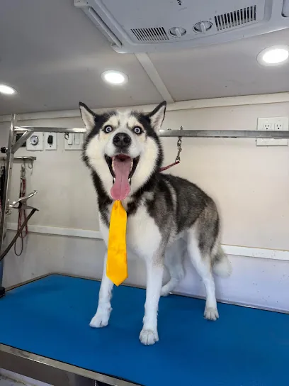 HAPPY CANINE MOBILE PET GROOMING — photo from their website