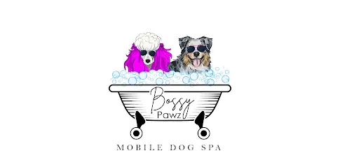 Bossy Pawz LLC, Mobile dog Spa — photo from their website