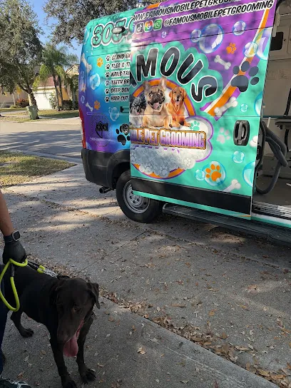 FAMOUS MOBILE PET GROOMING — photo from their website