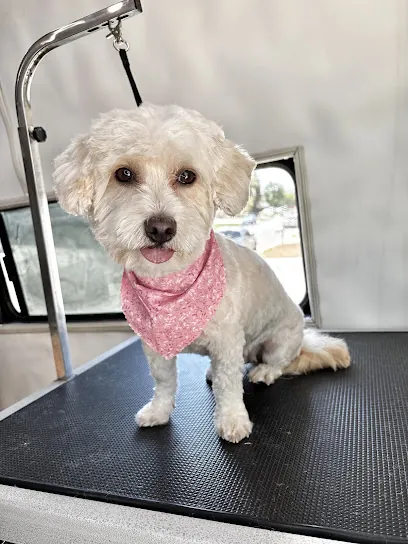 Rosie’s mobile pet grooming — photo from their website