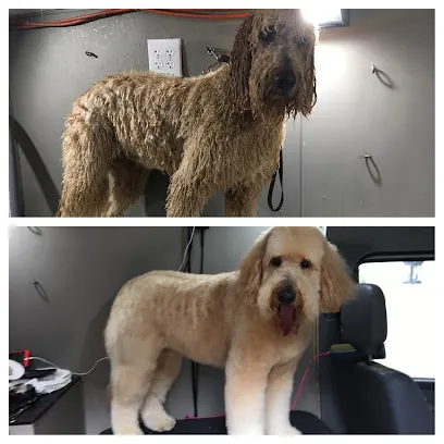 Pawpular A Mobile Dog Spa — photo from their website