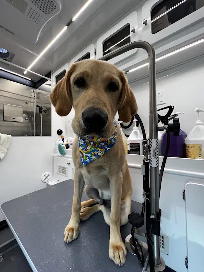 Mia's Mobile Grooming — photo from their website