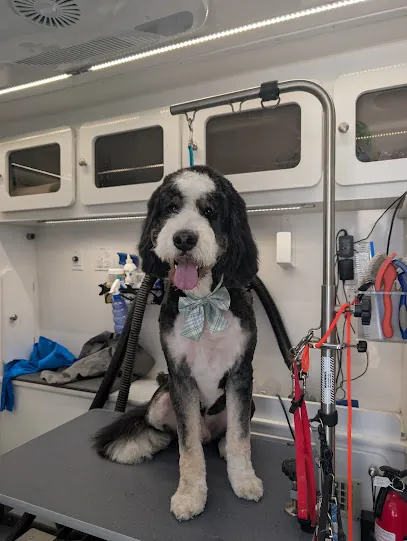 DapperTails Mobile Pet Grooming of Austin — photo from their website