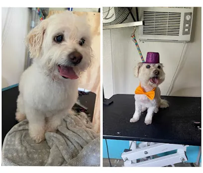 Posh Paws Mobile Grooming — photo from their website